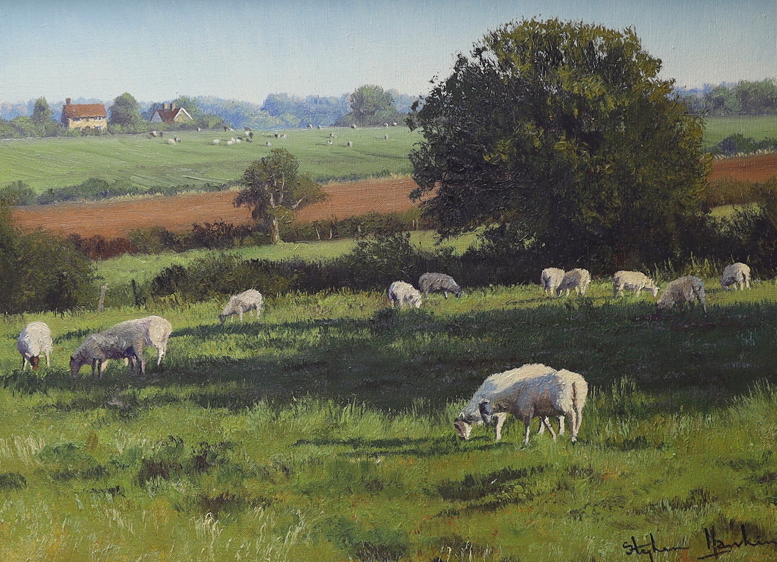Stephen Hawkins (b. 1964), oil on canvas, ‘Peaceful pastures near Wineham’, signed, The Ashdown Gallery label verso, 29 x 39cm